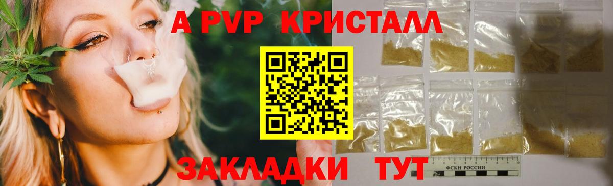 A PVP СК КРИС Барнаул