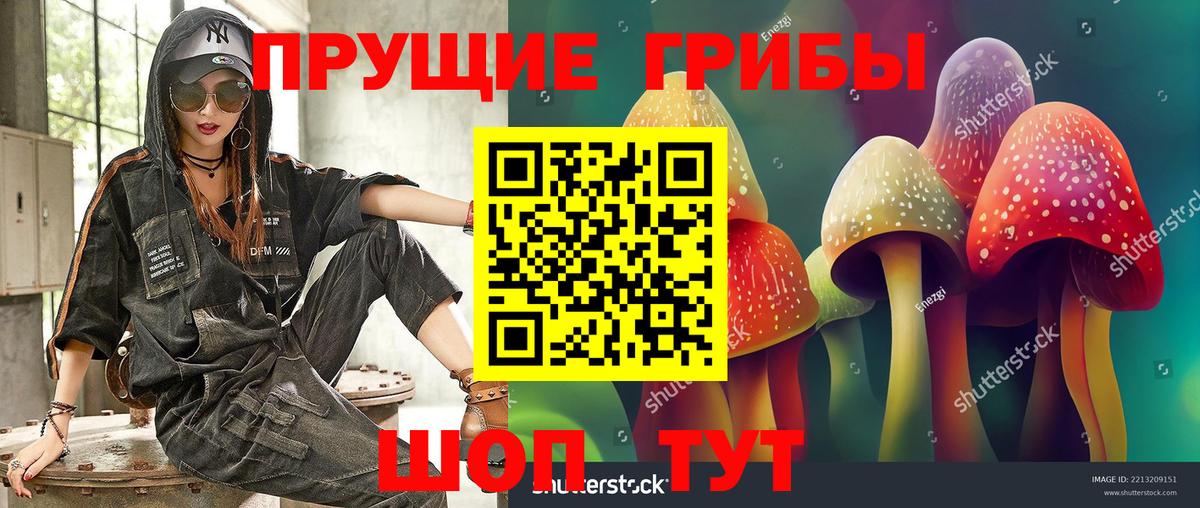 Галлюциногенные грибы GOLDEN TEACHER Барнаул